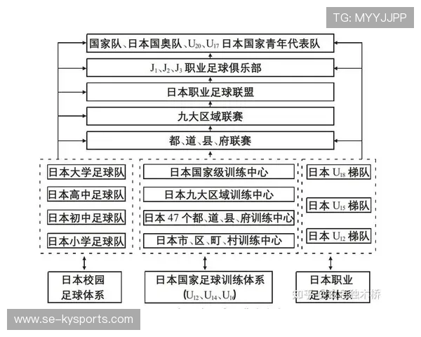 多国推进职业联赛“俱乐部许可制度”,强化财务和青训硬性指标 多国推进职业联赛“俱乐部许可制度”,强化财务和青训硬性指标